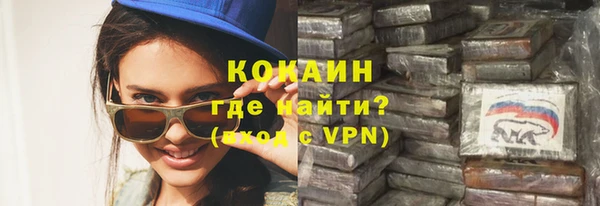 шишки Нея