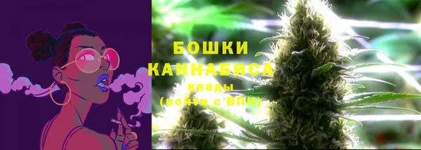 шишки Нея