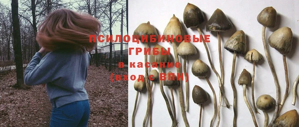 первитин Нефтекумск