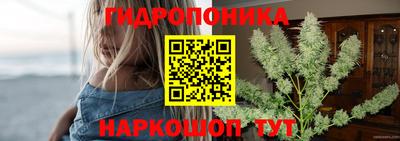 спайс Гай