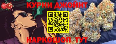spice Гатчина