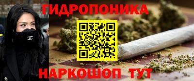 спайс Гай