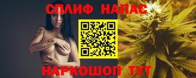 spice Гатчина
