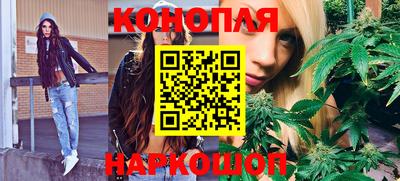 спайс Гай