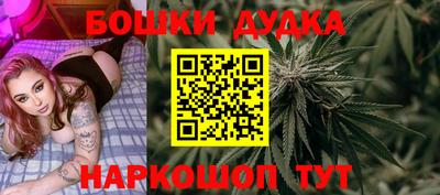 spice Гатчина