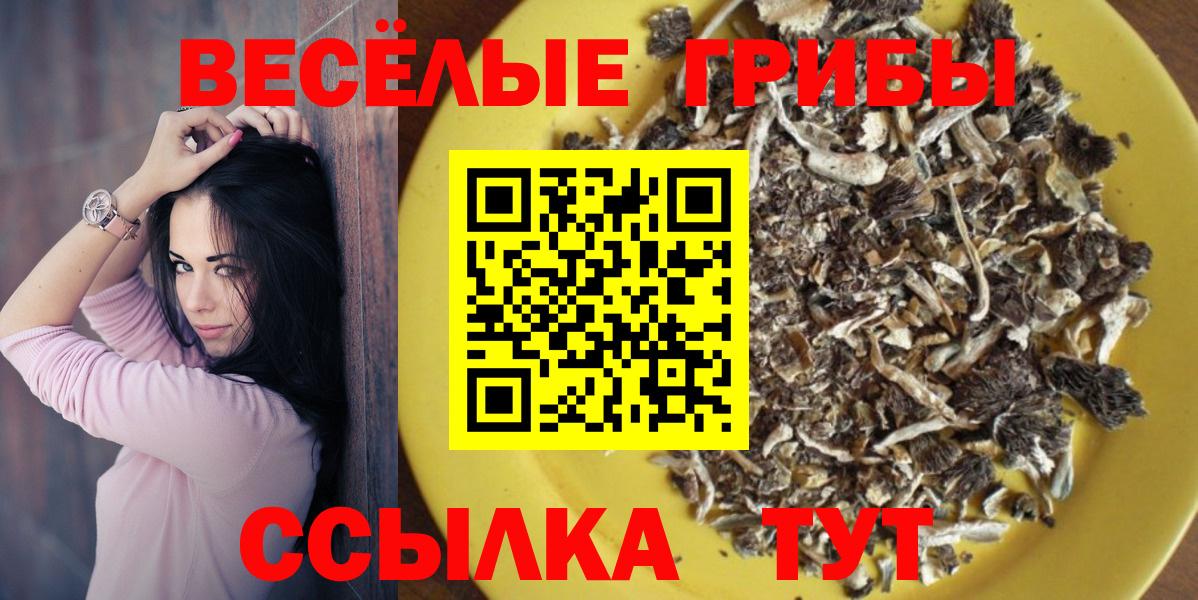 Полевской  Галлюциногенные грибы мицелий  Вход с VPN 